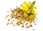 mustard-seed-single-image.png